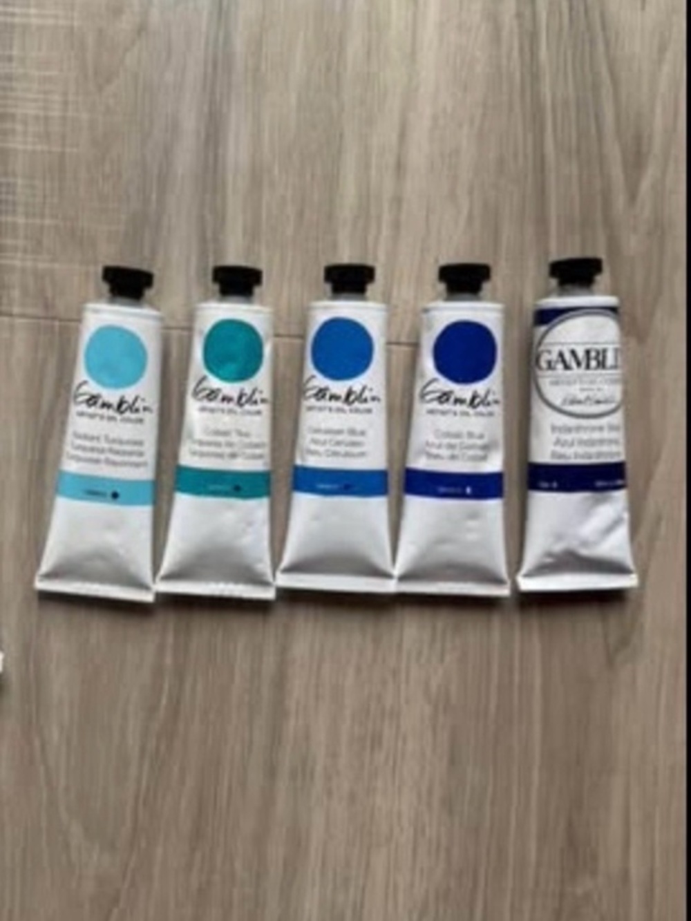 NEW Gamblin Artist Oil Paint Lot – High series artist grade oil paint